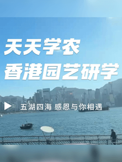 与香港园艺学会联合举办香港园艺研学，专业园境师带队讲解。