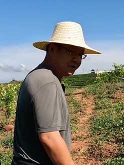 农业人叶涛，50多岁通讯人跨界搞农业，他要用1000万打造一个梦。